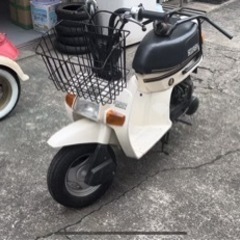 スカッシュ　49cc、くるくる&純正リアキャリア付き