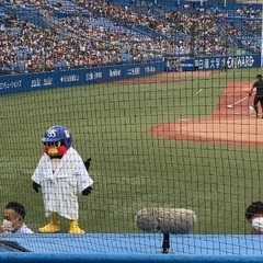 神宮球場　ヤクルト試合観戦