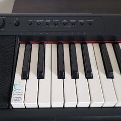 YAMAHA 電子キーボード piaggero(ピアジェーロ) ブラック NP-11の画像