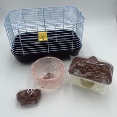 大きな扉のショコラハウスの画像