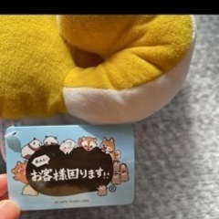 柴犬 ぬいぐるみの画像