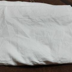 シーツウエス　オイル交換　整備　1kg