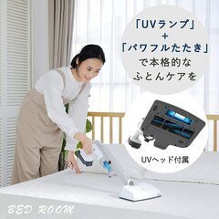 スティッククリーナー Raycop　レイコップ　RHC-500 限定モデル　激安　パート2の画像