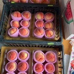 完売しました　ハウス栽培キズ桃🍑　　お買い得💕
