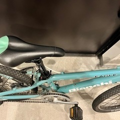 Bianchi ビアンキ EAGLE 20インチ 子供用自転車 ビアンキ イーグル キッズ 自転車 20インチ