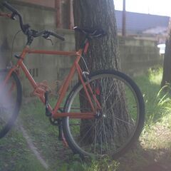 無限の可能性！ピストバイク仲間大大大募集 - 豊橋市
