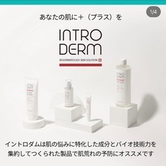 韓国で人気の化粧品！