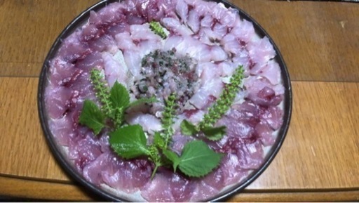 鯵、鯖、五目釣り仕立て船メンバー募集