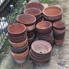 植木鉢 47個 大 中 小 サイズ 混合の画像