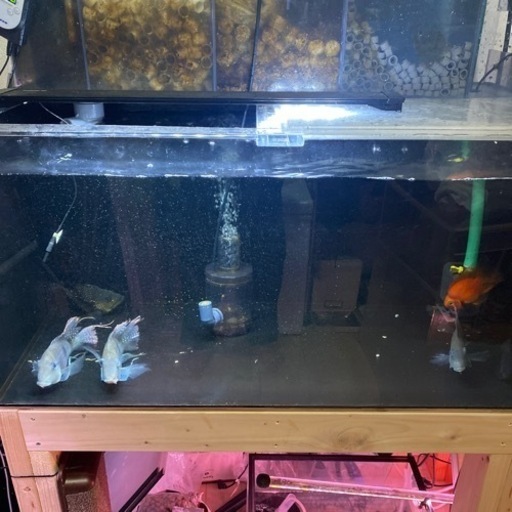 アクリル水槽　900×450×450 セット　90センチ水槽