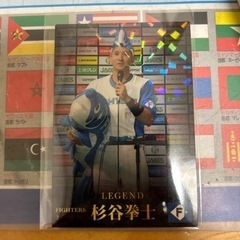 プロ野球チップス杉谷拳士
