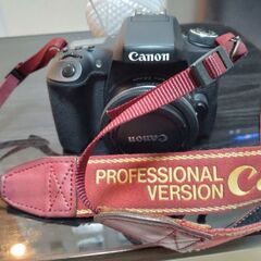 (激レア)Canon Proffesional versionのストラップ破格で譲りますの画像