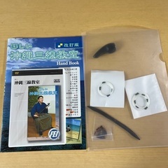 沖縄三線(本皮強化2重張り)の画像
