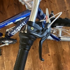 ルイガノ　20インチ　マウンテンバイクの画像