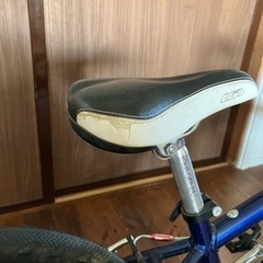ルイガノ　20インチ　マウンテンバイクの画像