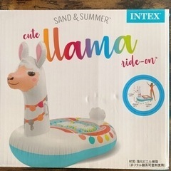 【取引決定】インテックス　浮き輪の画像