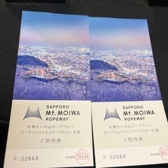 決まりました！藻岩山ロープウェイ往復券