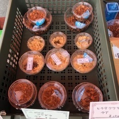 改良メダカ&クワガタ展示販売会