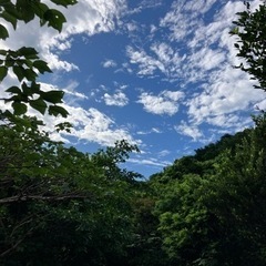 起業（独立）相談（または意見交換）