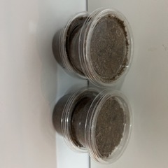 ギラファノコギリクワガタ(亜種makitai)幼虫4頭セットの画像