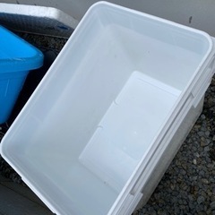 値引き】メダカ飼育用　白容器　珍しい白色のタライ型容器　めだかの画像