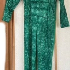 仮装用恐竜　中古110cm 男女兼用