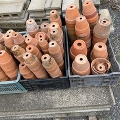 素焼き植木鉢の画像