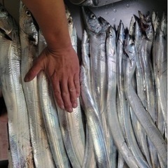 釣り大好きメンバー募集٩(ˊᗜˋ*)و
