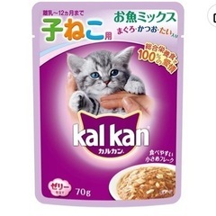 不要な猫用品・寄付よろしくお願いします。