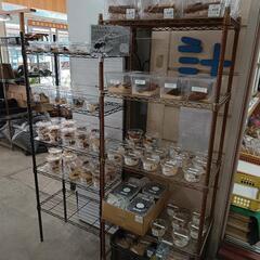 6/25(日)＊クワガタ＊倉敷＊船穂＊玉島＊直売中の画像