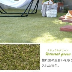 人工芝はぎれの画像