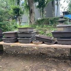 盆栽鉢 15点