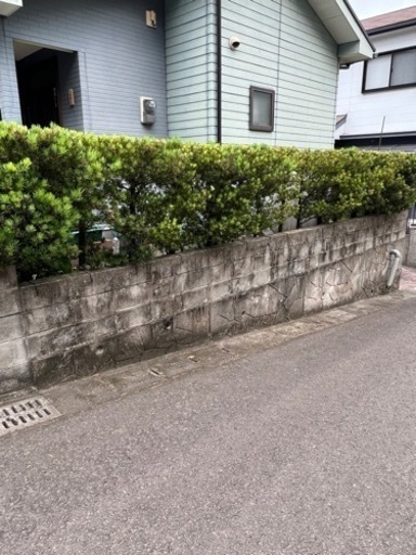 ブロック、土間などのコケ落とし 見積もり無料