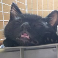 天然炸裂のんびり屋さん