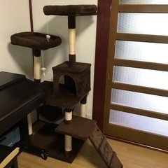 キャットタワーの画像