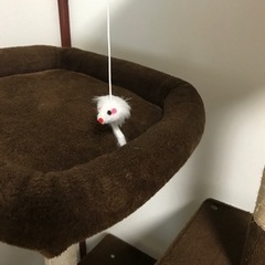 キャットタワーの画像