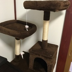 キャットタワーの画像