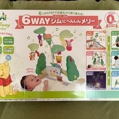 ６WAY ジムにへんしんメリー（決まりました）