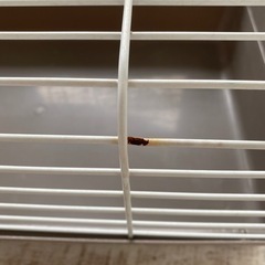 小動物のケージ、小物付きの画像