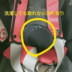無料！！の画像