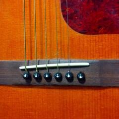 商談中　Epiphone EL-00 ジャンク品の画像