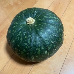 いいサイズのカボチャが出来ました！7月上旬お渡し予定