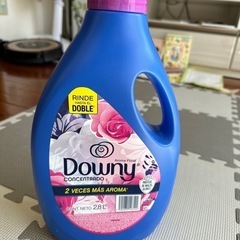 メキシコダウニー