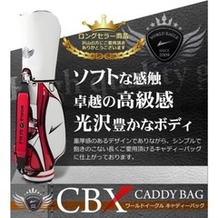 少し延長。の画像