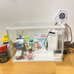 水槽&飼育セット一式 25点　熱帯魚 アクアリウム