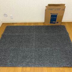 Panasonic　ホットカーペット　DC-15NK GRAYの画像