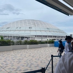 暇やな。かまちょ。