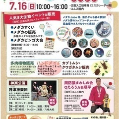 めだか　カブトムシ　クワガタ　多肉植物　ハンドメイド　イベント　の画像