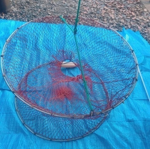 活かしカゴ　魚網