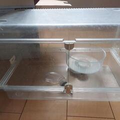 ハムスター飼育容器グラスハーモニー450の画像